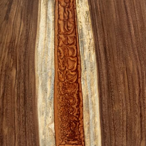 BRONZE MÉTALLIQUE - 32X32 - PAROTA - T22324GNC00-C32
